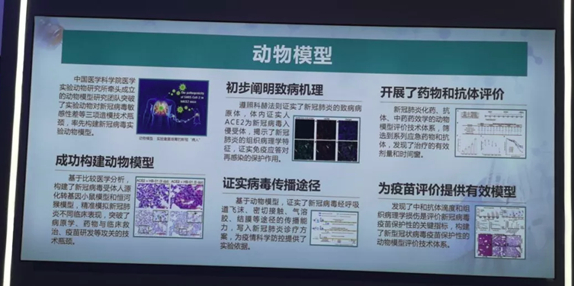 我單位COVID19疫苗保護(hù)性的動物模型評價技術(shù)亮相國家十三五科技創(chuàng)新成就展