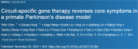 Cell：我國科學家開發(fā)出神經(jīng)回路特異性的基因療法逆轉(zhuǎn)帕金森病中的核心運動癥狀，為未來成功治療帕金森病奠定基礎(chǔ)