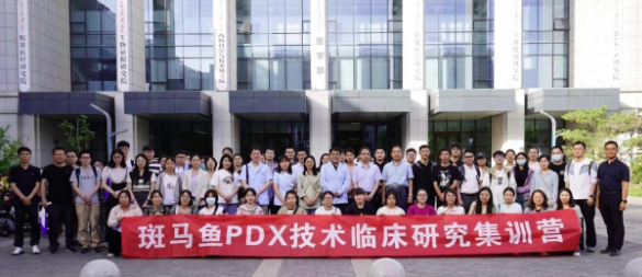 創(chuàng)新港實(shí)驗(yàn)動物中心成功舉辦斑馬魚PDX技術(shù)臨床研究集訓(xùn)營