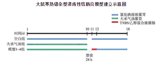 寒熱錯(cuò)雜型潰瘍性結(jié)腸炎大鼠模型建立方法簡(jiǎn)介-江蘇網(wǎng)站制作
