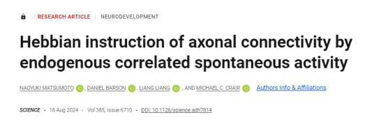 Science揭秘：在出生之前，哺乳動(dòng)物大腦中的腦細(xì)胞如何形成精確神經(jīng)回路-江蘇網(wǎng)站制作