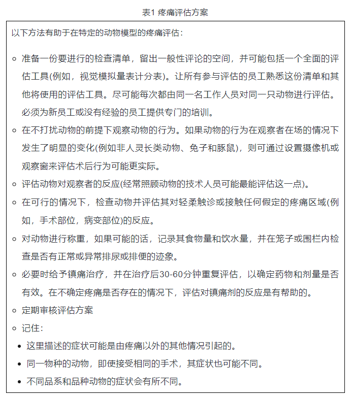 實(shí)驗(yàn)動物疼痛的識別和評估-江蘇網(wǎng)站制作